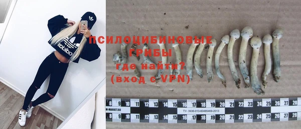 ПСИЛОЦИБИНОВЫЕ ГРИБЫ Гусиноозёрск