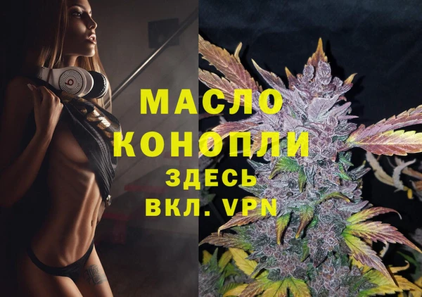 гидра Гусь-Хрустальный