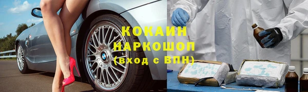 ПСИЛОЦИБИНОВЫЕ ГРИБЫ Гусиноозёрск