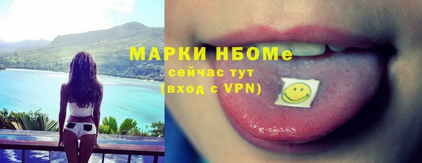 гидра Гусь-Хрустальный