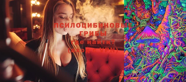 гидра Гусь-Хрустальный