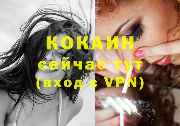 ПСИЛОЦИБИНОВЫЕ ГРИБЫ Гусиноозёрск