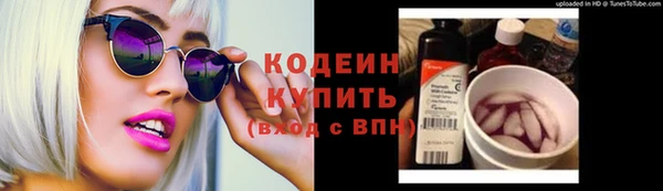 гидра Гусь-Хрустальный