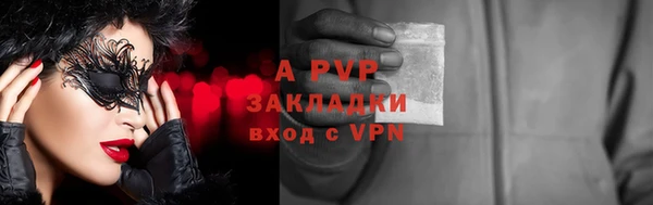 ПСИЛОЦИБИНОВЫЕ ГРИБЫ Гусиноозёрск