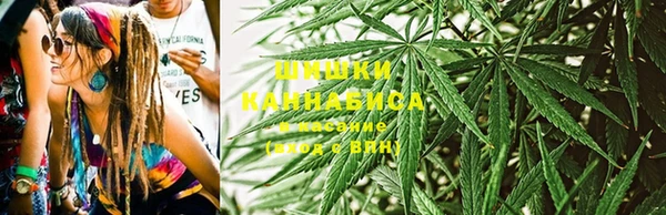 гидра Гусь-Хрустальный