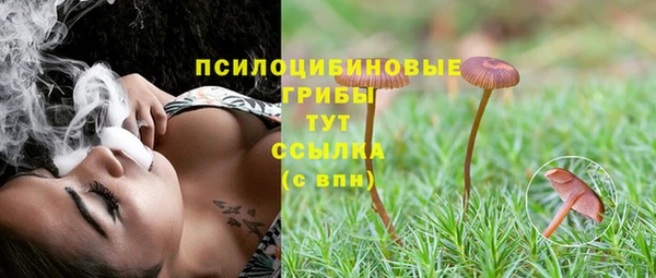 ПСИЛОЦИБИНОВЫЕ ГРИБЫ Гусиноозёрск
