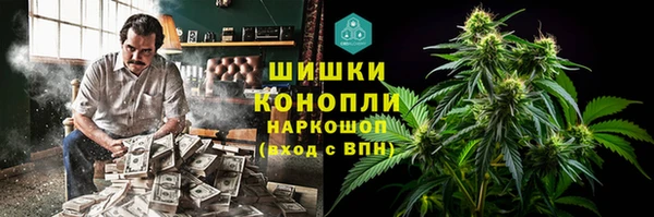 ПСИЛОЦИБИНОВЫЕ ГРИБЫ Гусиноозёрск
