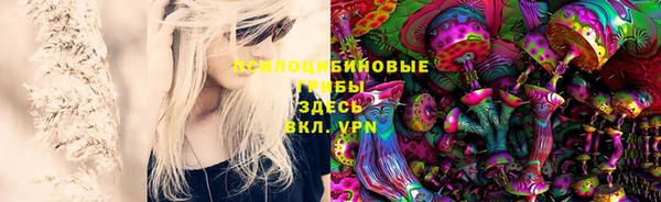 ПСИЛОЦИБИНОВЫЕ ГРИБЫ Гусев