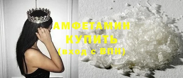 ПСИЛОЦИБИНОВЫЕ ГРИБЫ Гусев