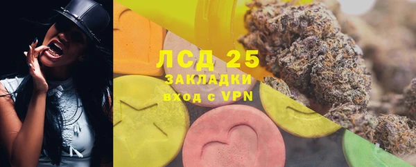 гидра Гусь-Хрустальный