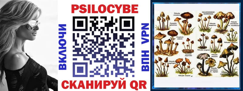 shop формула кракен онион Дрезна Галлюциногенные грибы Psilocybine cubensis